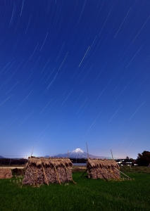 photo?id=4334&suffix=m