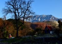 photo?id=4335&suffix=t