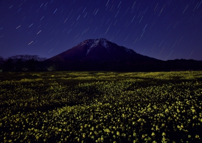 photo?id=4336&suffix=m