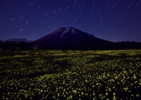 photo?id=4336&suffix=t