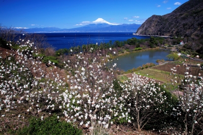 photo?id=4339&suffix=m