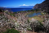 photo?id=4339&suffix=t