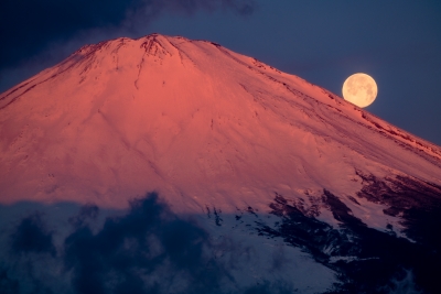 photo?id=4360&suffix=m
