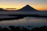 photo?id=4377&suffix=t