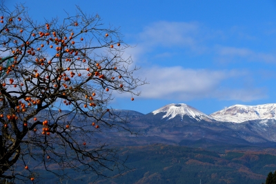 photo?id=4382&suffix=m