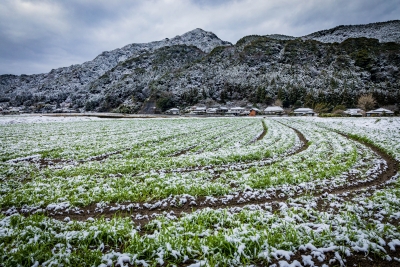 photo?id=4416&suffix=m