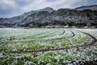 photo?id=4416&suffix=t