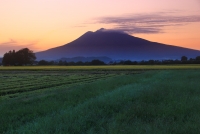 photo?id=4476&suffix=t