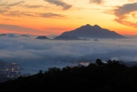 photo?id=4478&suffix=t