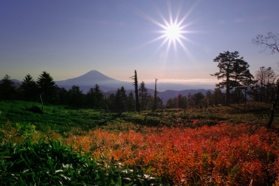 photo?id=4525&suffix=m