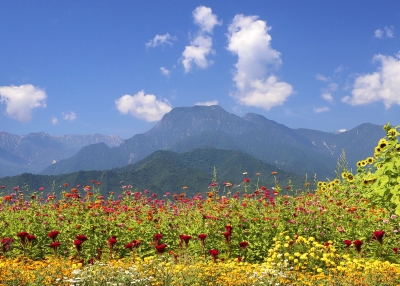 photo?id=4580&suffix=m