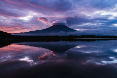 photo?id=4581&suffix=m