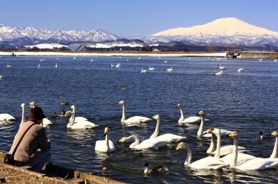 photo?id=4655&suffix=m