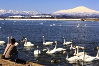 photo?id=4655&suffix=t