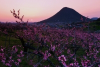 photo?id=4656&suffix=t