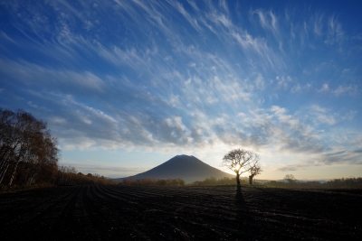 photo?id=4696&suffix=m