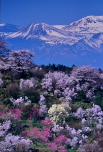 photo?id=4714&suffix=m