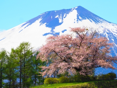 photo?id=4752&suffix=m