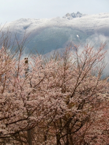 photo?id=4834&suffix=m