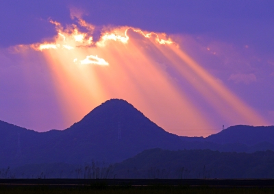 photo?id=4864&suffix=m