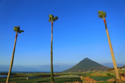 photo?id=4868&suffix=m