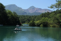 photo?id=4900&suffix=t