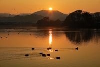 photo?id=4928&suffix=t