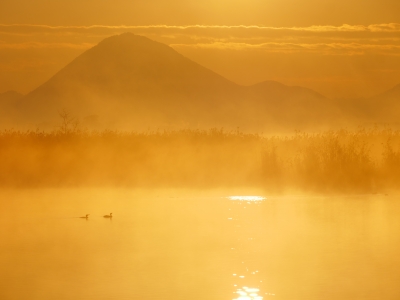 photo?id=4935&suffix=m