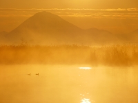 photo?id=4935&suffix=t