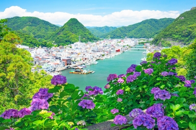 photo?id=4953&suffix=m