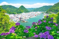 photo?id=4953&suffix=t