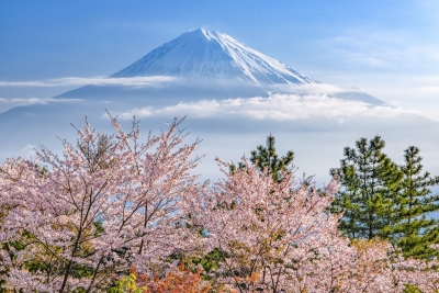 photo?id=4975&suffix=m