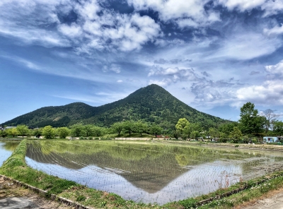 photo?id=5019&suffix=m