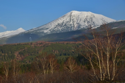 photo?id=5073&suffix=m