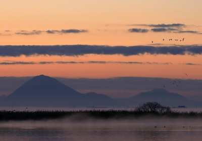 photo?id=5094&suffix=m