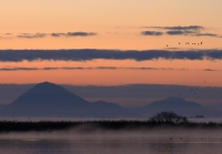 photo?id=5094&suffix=t