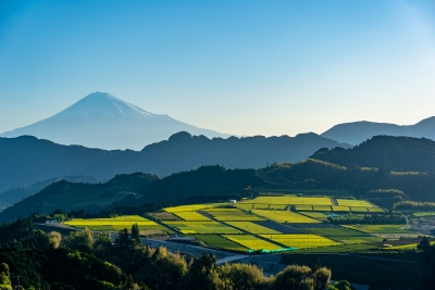 photo?id=5121&suffix=m