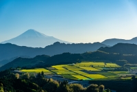 photo?id=5121&suffix=t