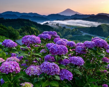 photo?id=5144&suffix=m