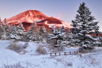 photo?id=5148&suffix=t