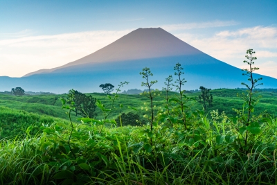 photo?id=5170&suffix=m