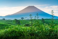 photo?id=5170&suffix=t