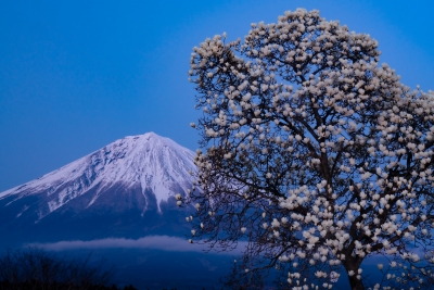 photo?id=5171&suffix=m