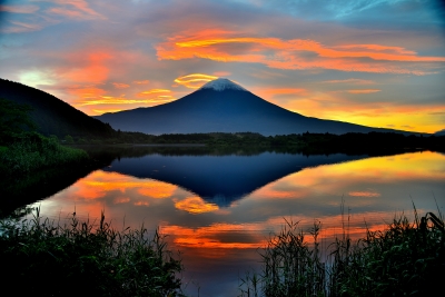 photo?id=5274&suffix=m