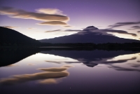 photo?id=5292&suffix=t