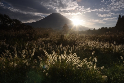 photo?id=5375&suffix=m