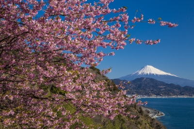 photo?id=5390&suffix=m