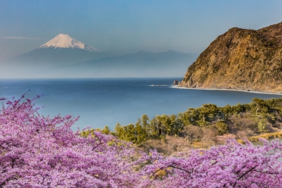 photo?id=5425&suffix=m