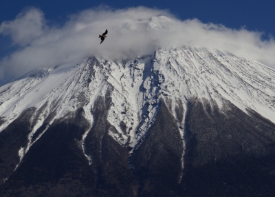 photo?id=5452&suffix=m