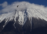 photo?id=5452&suffix=t